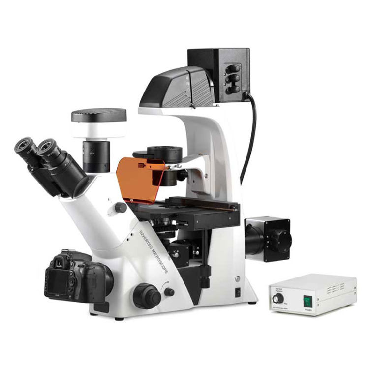 BDS500 Inverted Biological Microscope