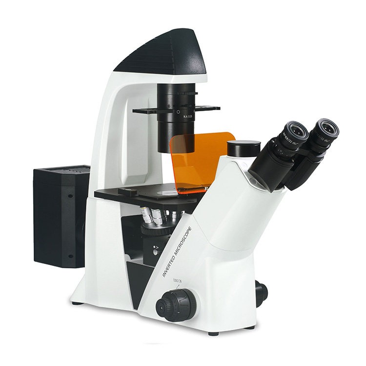 BDS400-FL Fluorescence Microscope