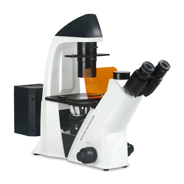 BDS400 Inverted Biological Microscope