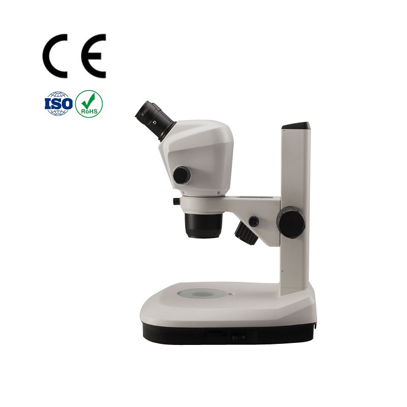 SZ650 B2L Zoom-stereo Microscope