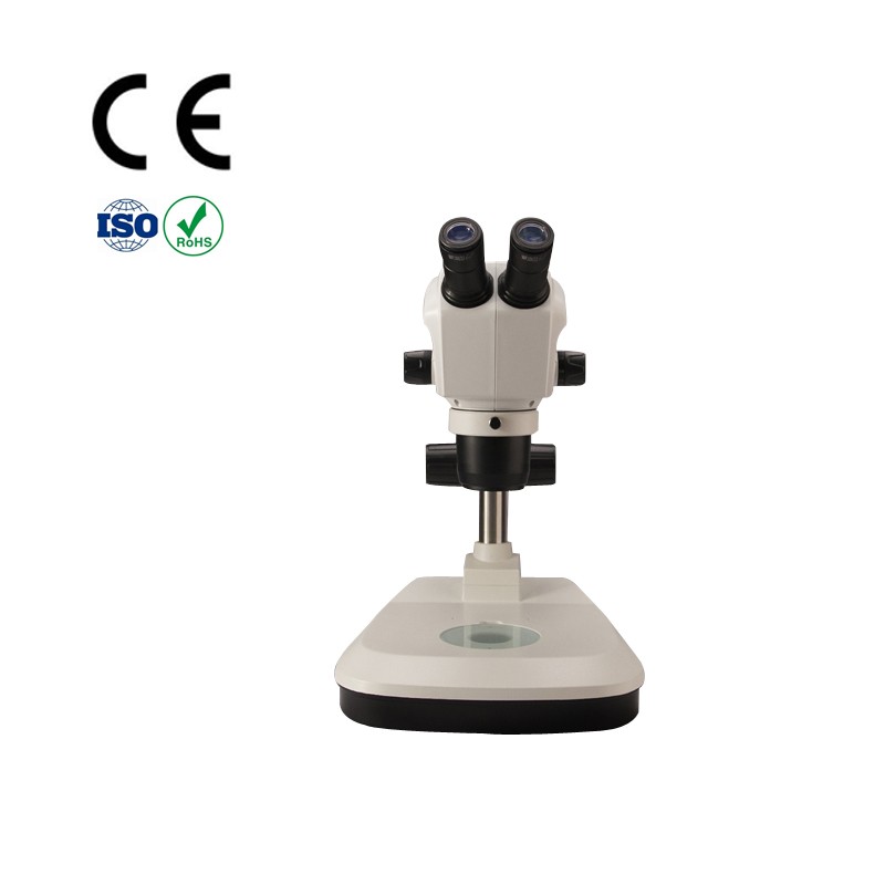 SZ650 B2L Zoom-stereo Microscope