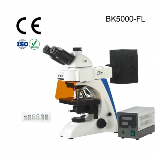 BK5000-FL4T Fluoresc
