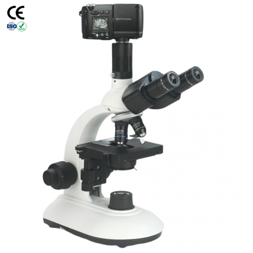 B204 Biological Microscope