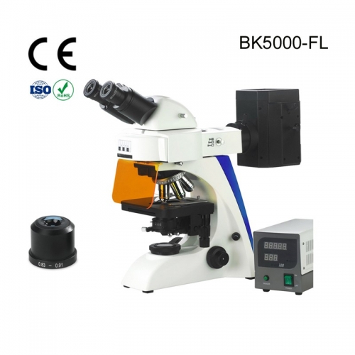BK5000-FL2 Fluoresce