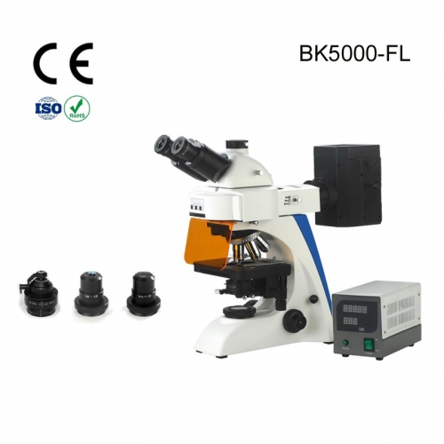 BK5000-FL2T Fluorescence Micro