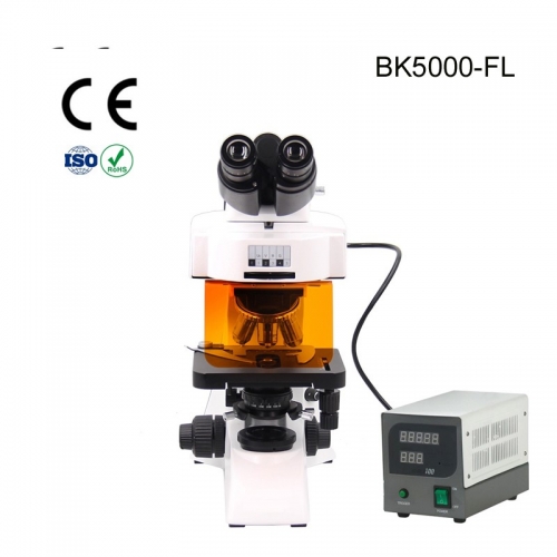 BK5000-FL4 Fluoresce