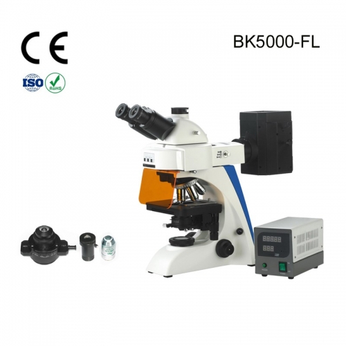 BK5000-FL4LEDT Fluor