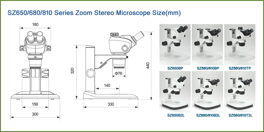 Needlee Microscope Slides Wild Stereoscopic Microscope Supplier