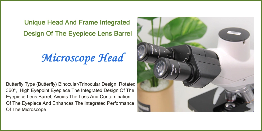 1000X Student Laboratory Instrument with Amscope Trinocular Microscope