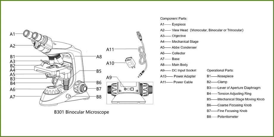 1000X Cells Microscope for Portable Binocular Microscope