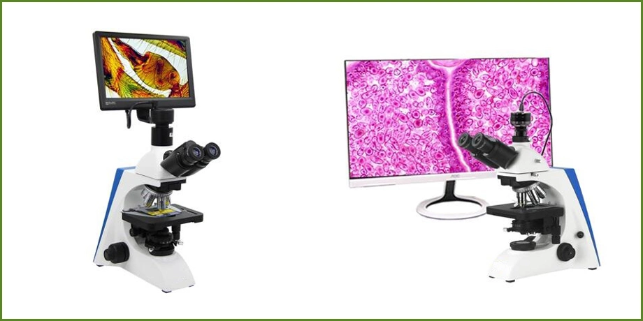 Adult Reasearch Microscopes for Olympus Microscope Bulbs