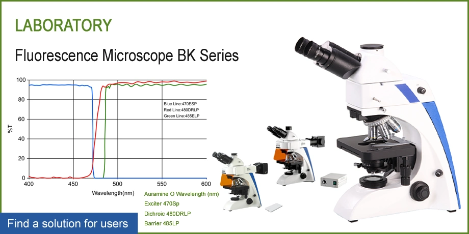 Microscope Specification Binocular Fluorescence Microscopy for Microscope Holder