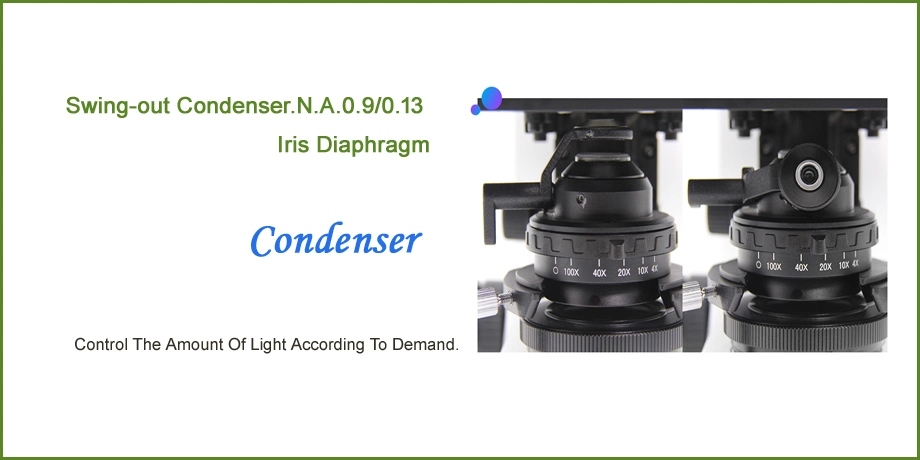 Microscope Specification Binocular Fluorescence Microscopy for Microscope Holder