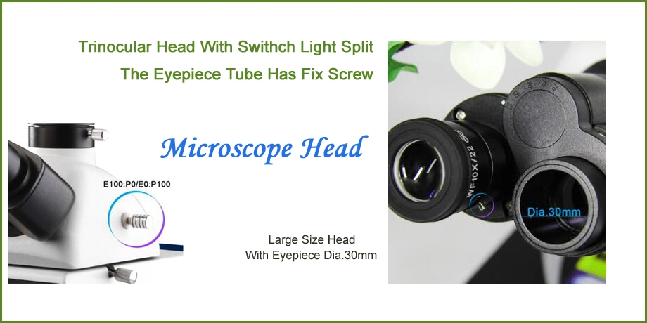 DN-300m Microscope Portable Fluorscent Microscope with 12V 100W Microscope Lighting Bulb