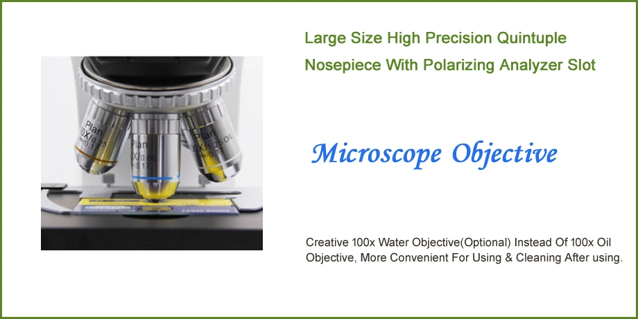 DN-300m Microscope Portable Fluorscent Microscope with 12V 100W Microscope Lighting Bulb