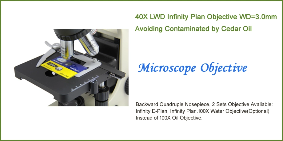 Blood Capillary Microcirculation Microscope Camera Epifluorescence Microscopefor Lab