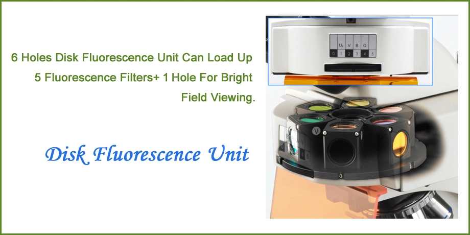 Student Microscope Lab Fluorescence Microscope Specialized Manufactory for Microscope Veterinary