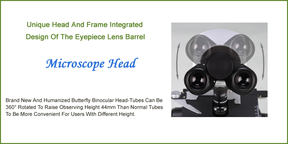 Peak Microscopetrinocular Fluorescence Microscope with Digital Camera for Microscope LED Light