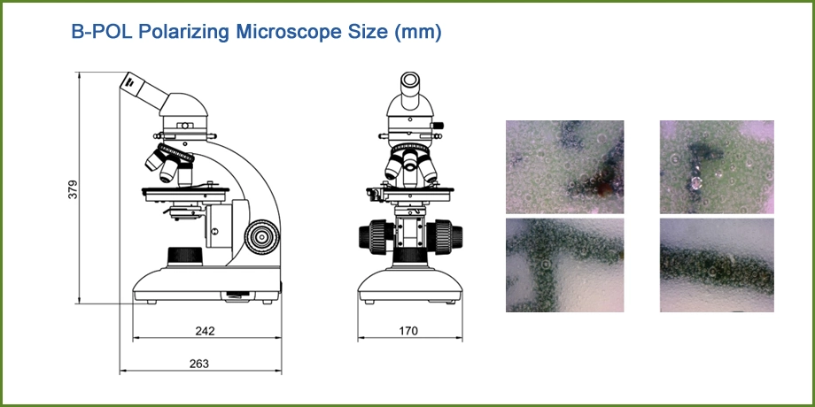 Microscope Insecte Monocular Polarized Microscope for Mineralogical