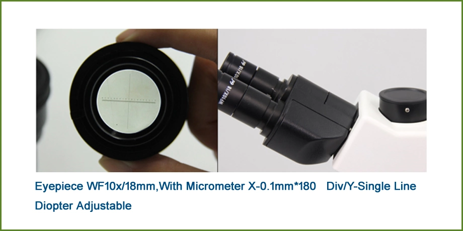 Simple Microscopes Trinocular Polarized Light Microscopy for Laboratory