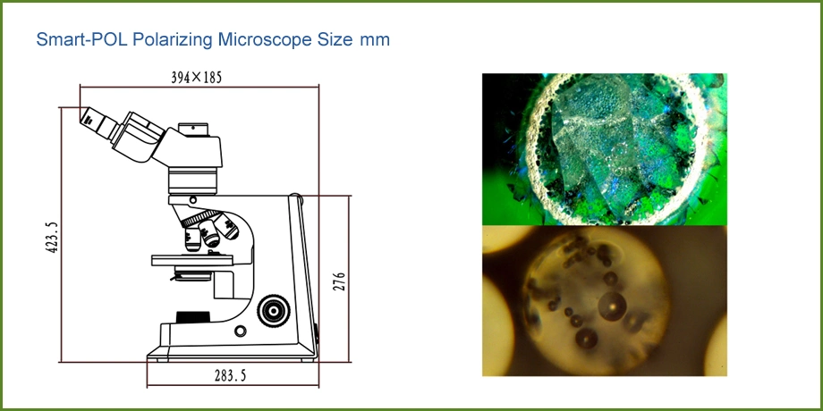 Simple Microscopes Trinocular Polarized Light Microscopy for Laboratory