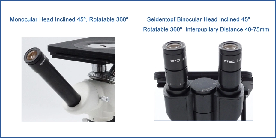 Petrographic Microscope Price Monocluar Metalografical Microscope Best Microscope for Laboratory Use