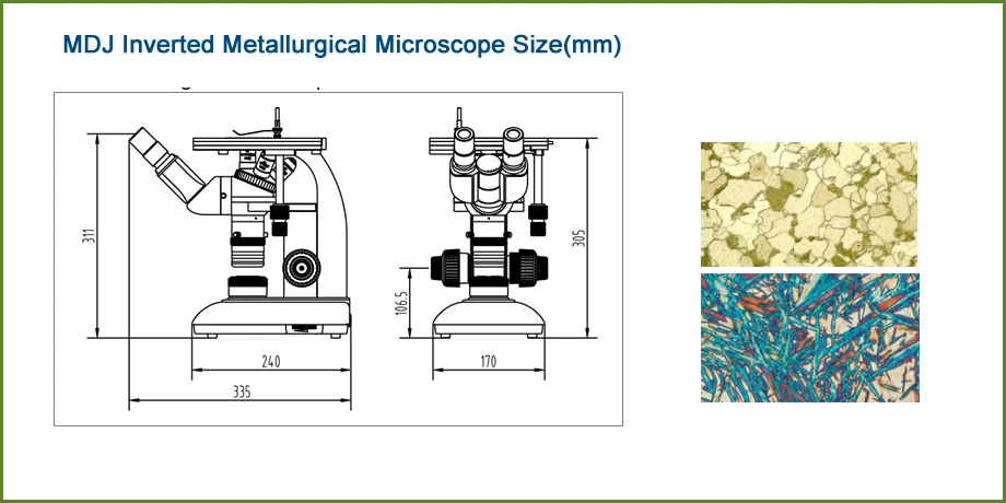 Petrographic Microscope Price Monocluar Metallurgical Microscope Student Microscope China Supplier